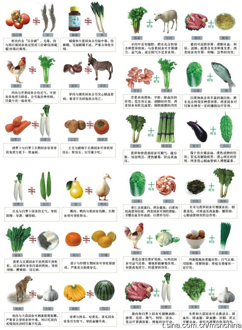 尤里克克曲谱怎么看-相生相克的食物谱,一定要看 放大了猛看吧 唯有魔力宝贝论坛