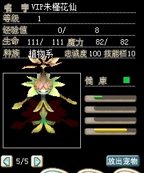 VIP朱槿花仙.jpg VIP朱槿花仙.jpg