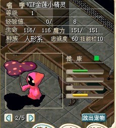VIP金莲小精灵.jpg VIP金莲小精灵.jpg