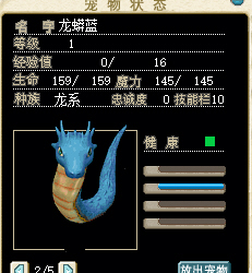 二十个圣殿骑士护腕可以随机兑换一只龙蟒 二十个圣殿骑士护腕可以随机兑换一只龙蟒