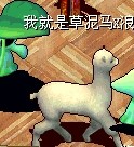 QQͼƬ20140212140152.jpg