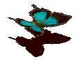 393.gif