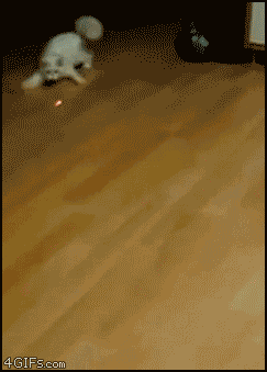 5-150409141A80-L.gif