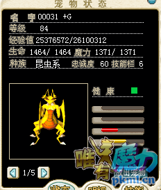 19.png