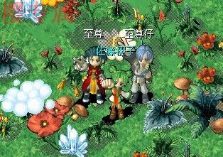My Documents和至尊.jpg