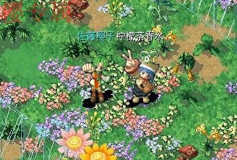My Documents与柠檬.jpg