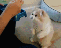 δ.gif
