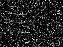 Untitled-1.gif