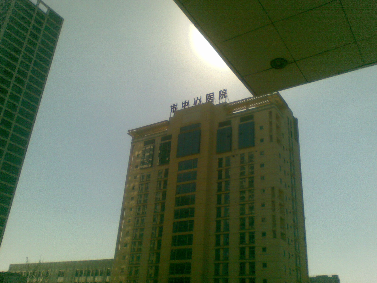 20110309_009.jpg