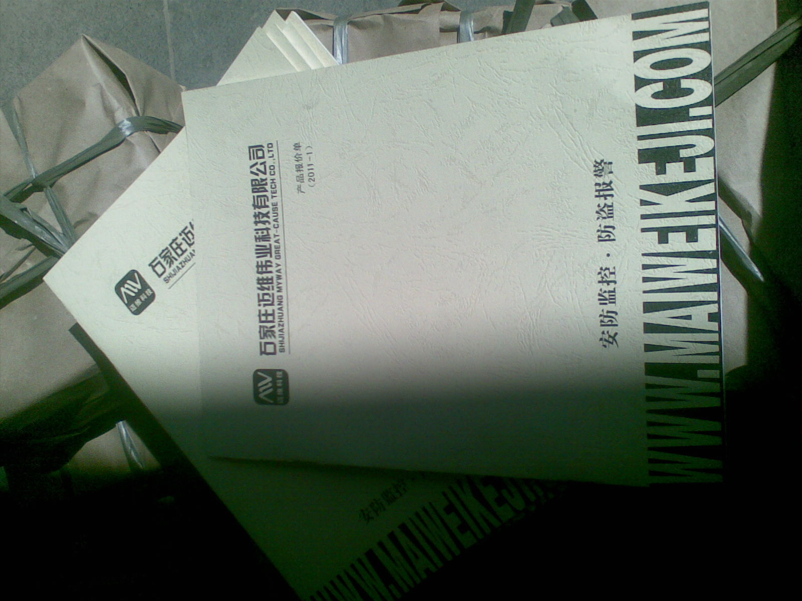20110309_010.jpg