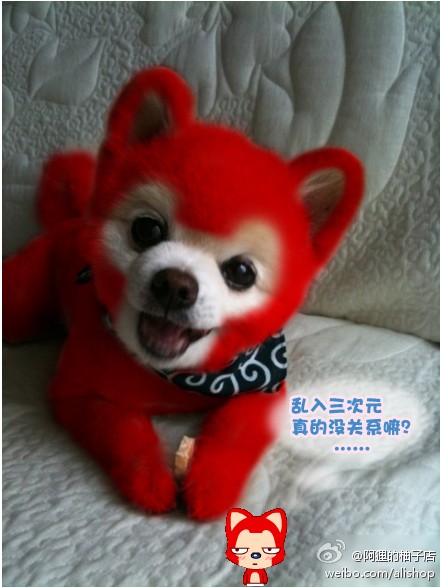 QQ截图20110826134439.jpg