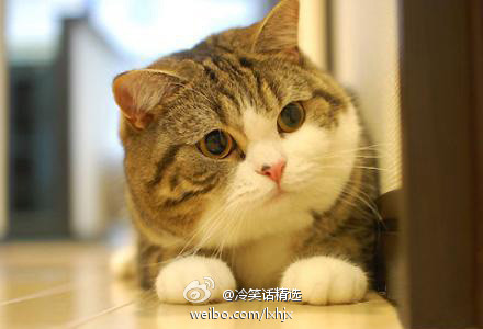 ΢_2938923806l.jpg