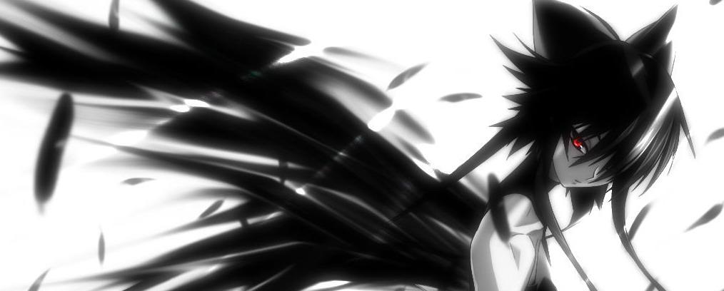 ͼƬ 006.jpg