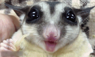 δ.gif