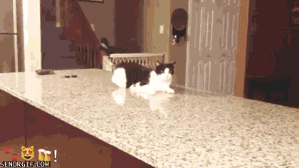 mxcp661b513ctw1e19esx0anyg.gif
