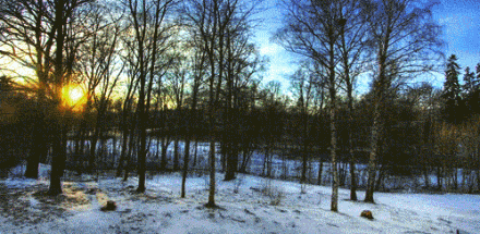 1.gif