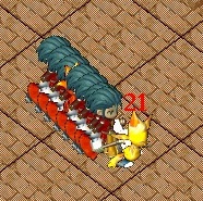 .jpg