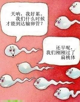 3b292df5e0fe99250c58b53834a85edf8db17106.jpg