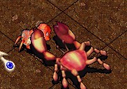δ.jpg