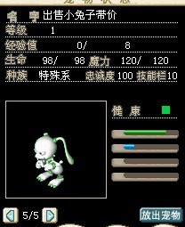 02.jpg