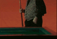 shangdangle.gif