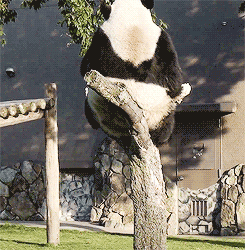 6628711bjw1e6rz3pgtfrg206t06yu0x.gif