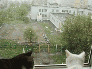 w温馨.gif