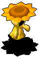 向日葵小妖.gif