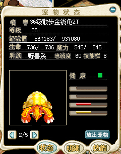 36级散步黄乌龟2J 65.jpg