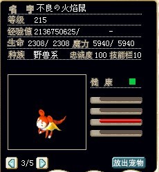 满级火焰鼠，加魔