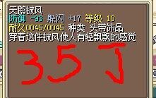 17闪天鹅35J.jpg